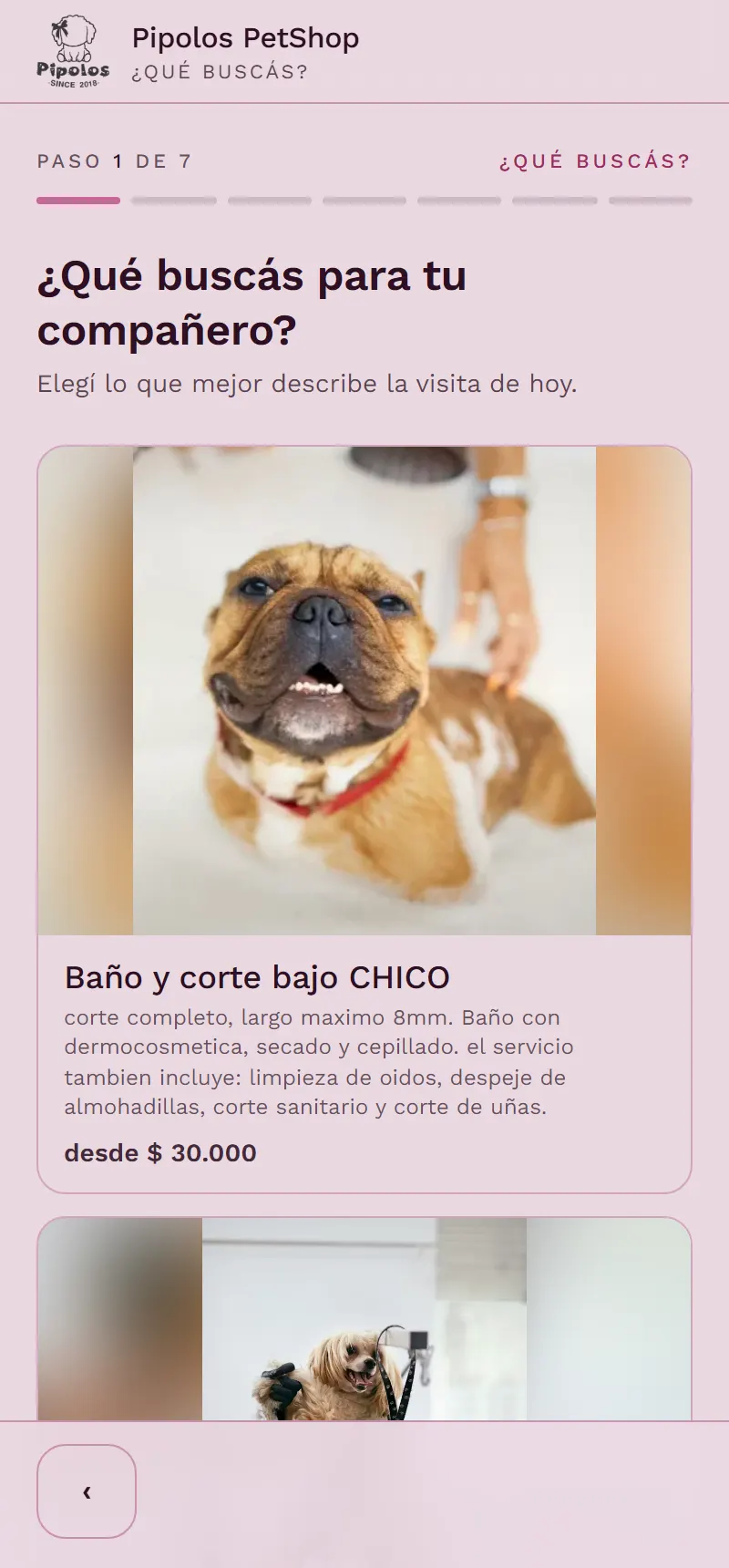 Eligen servicio y horario para su mascota